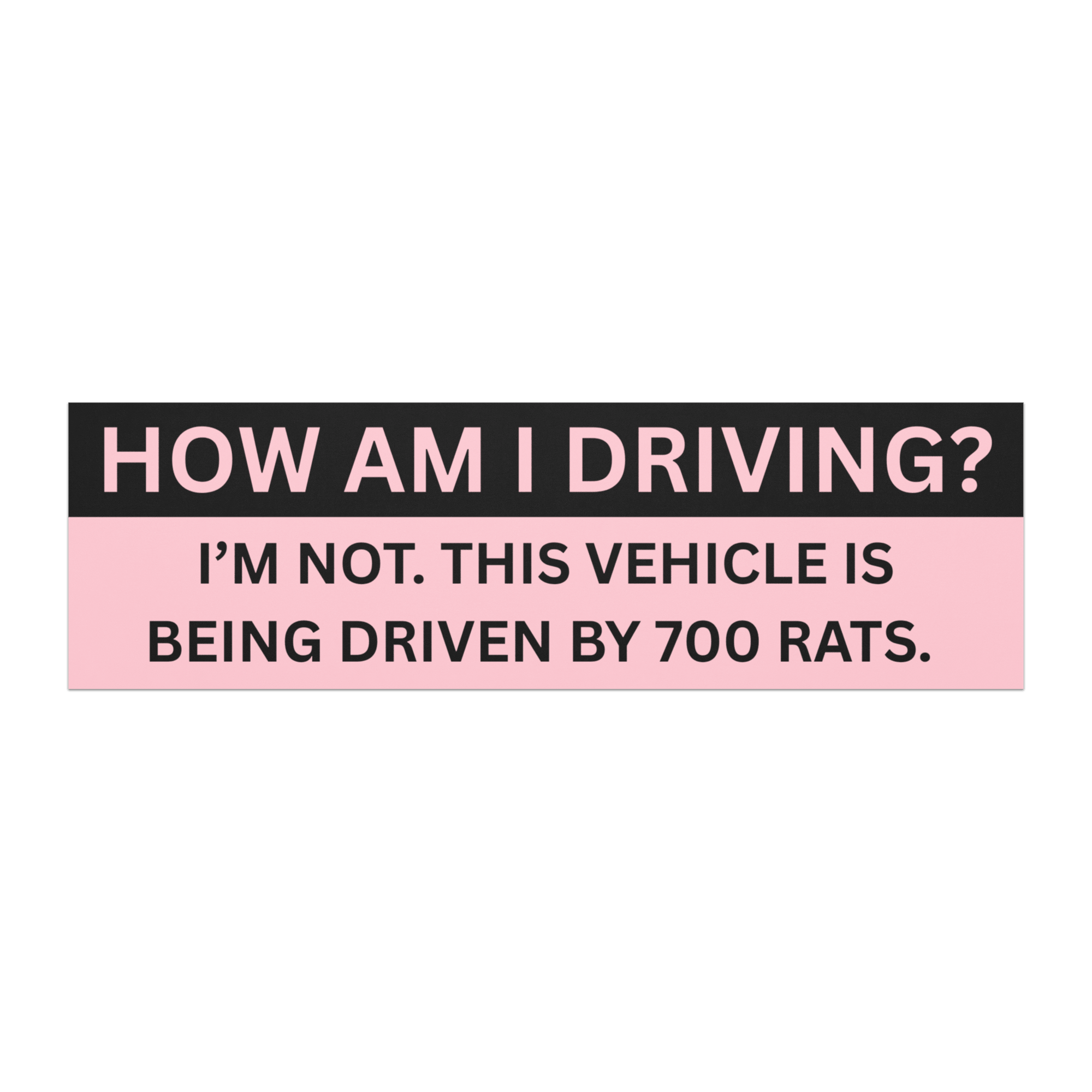 Car Bumper Magnets - TSC: TheShopCollective