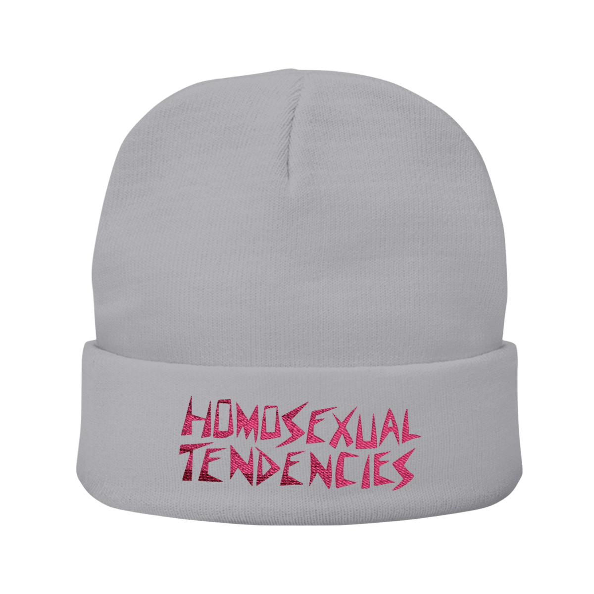 Homosexual Tendencies - Knit Beanie-Accessories-Beanies-Embroidery-NumbskullzKC