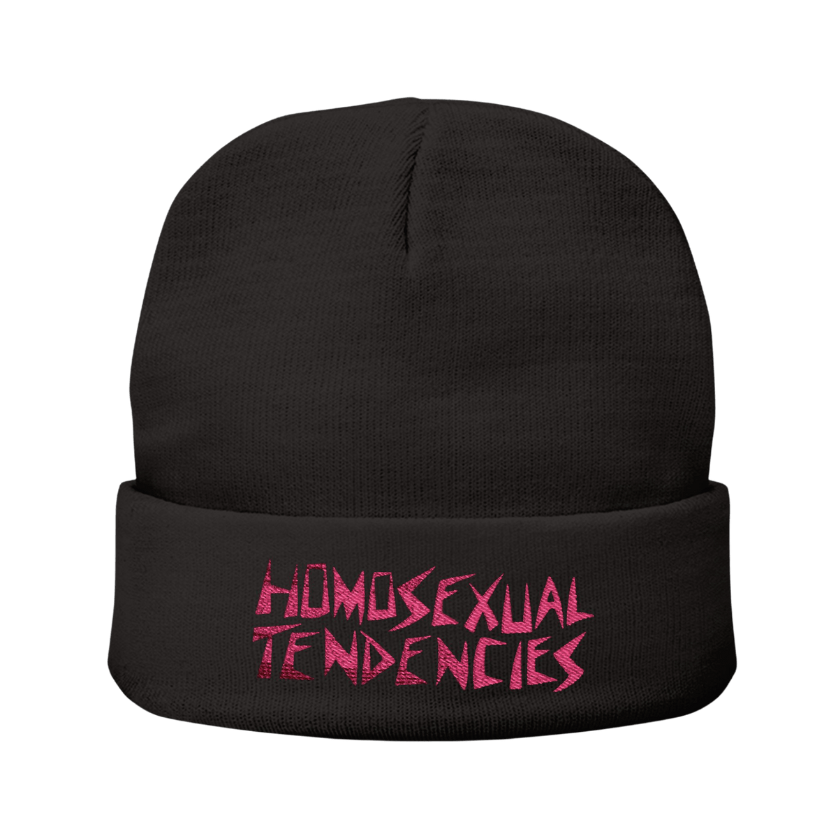 Homosexual Tendencies - Knit Beanie-Accessories-Beanies-Embroidery-NumbskullzKC