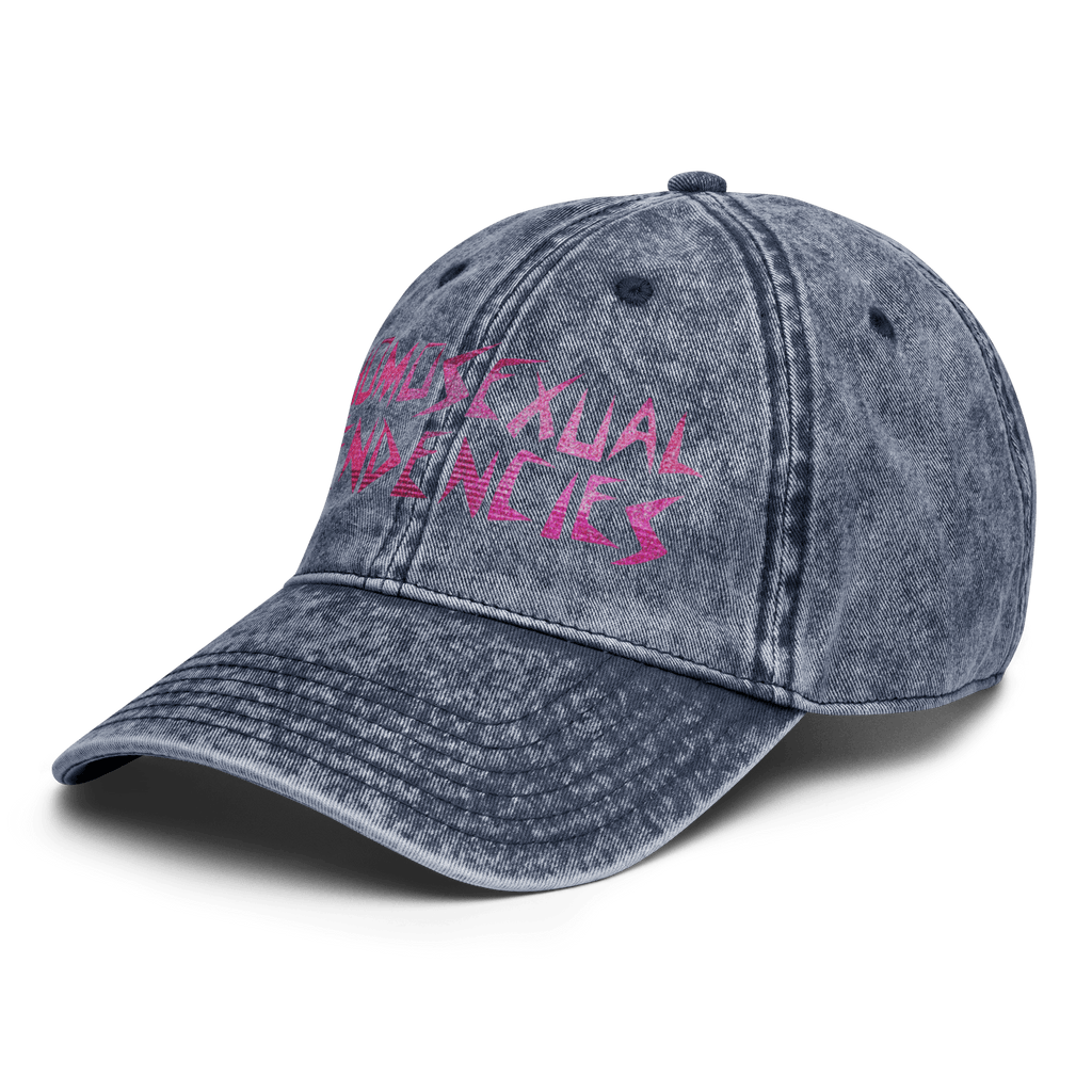 Homosexual Tendencies - Stonewashed Ball Cap - ballcap - baseball style hats - funny ballcaps - Numbskullz