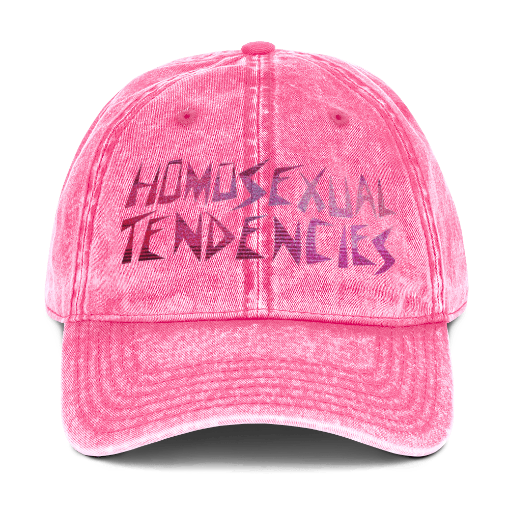 Homosexual Tendencies - Stonewashed Ball Cap - ballcap - baseball style hats - funny ballcaps - Numbskullz
