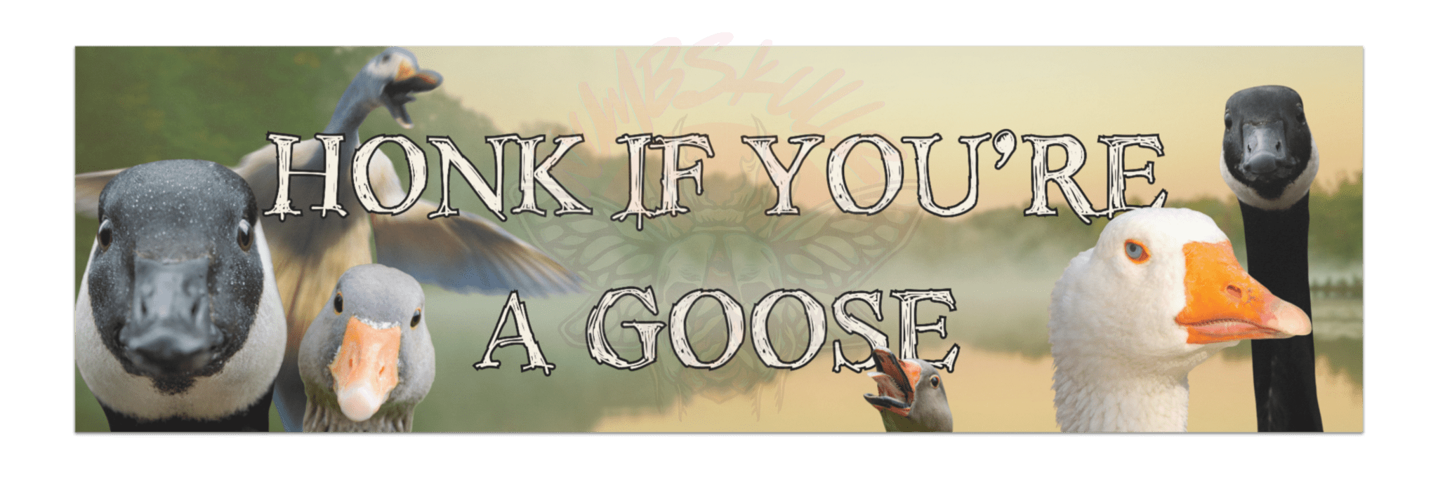 Honk If You're a Goose - Car Magnet - bumper magnets - car decor - humor - Numbskullz
