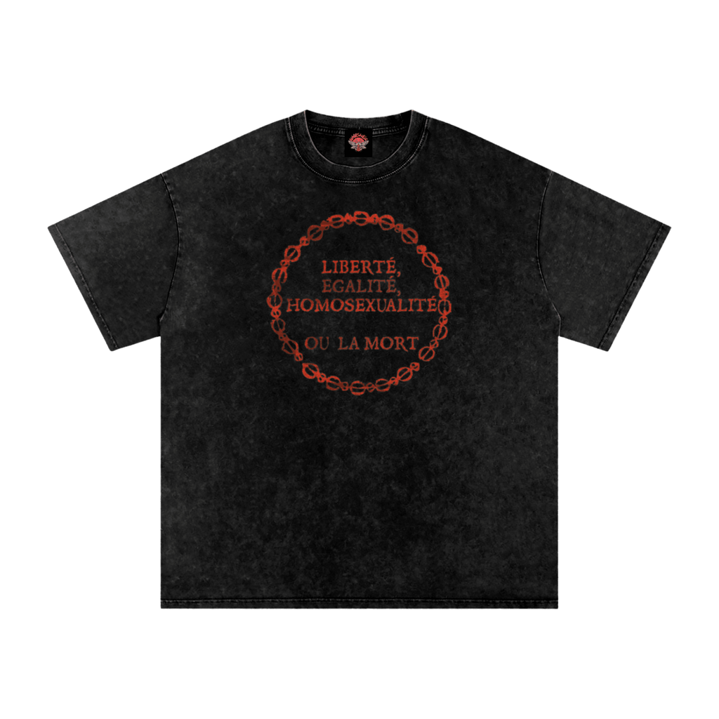 Liberty, Equality, Homosexuality or Death - Oversized T-Shirt - gay - Lesbian - lgbtq - NumbskullzKC