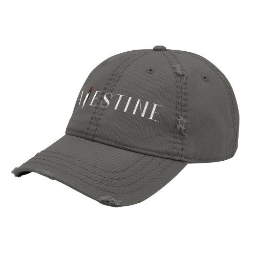 Palestine - Distressed Ball Cap-activism-anti fascist-distressed ball cap-NumbskullzKC