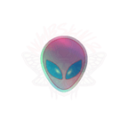 Palien - Holographic Sticker - accessories - kisscutstickers - Numbskullz - Numbskullz